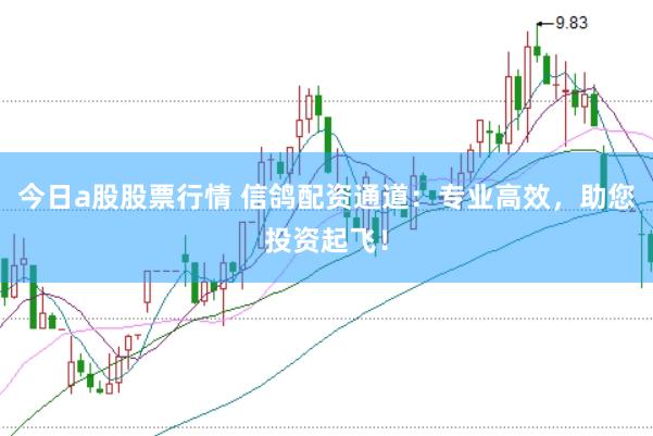 今日a股股票行情 信鸽配资通道：专业高效，助您投资起飞！