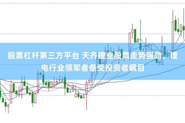 股票杠杆第三方平台 天齐锂业股票走势强劲，锂电行业领军者备受投资者瞩目