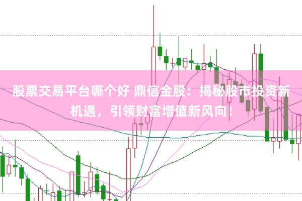 股票交易平台哪个好 鼎信金股：揭秘股市投资新机遇，引领财富增值新风向！