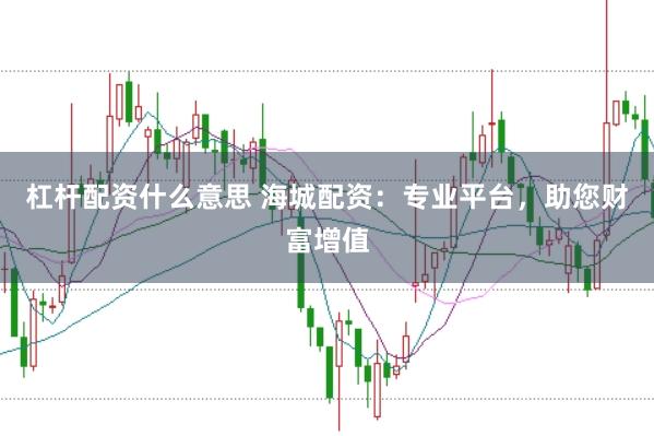 杠杆配资什么意思 海城配资：专业平台，助您财富增值