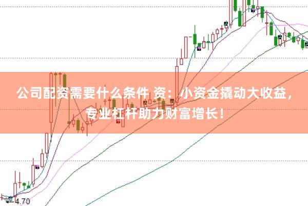 公司配资需要什么条件 资：小资金撬动大收益，专业杠杆助力财富增长！
