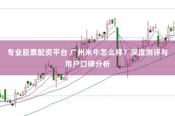 专业股票配资平台 广州米牛怎么样？深度测评与用户口碑分析