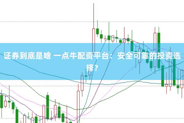 证券到底是啥 一点牛配资平台：安全可靠的投资选择？