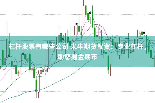 杠杆股票有哪些公司 米牛期货配资：专业杠杆，助您掘金期市