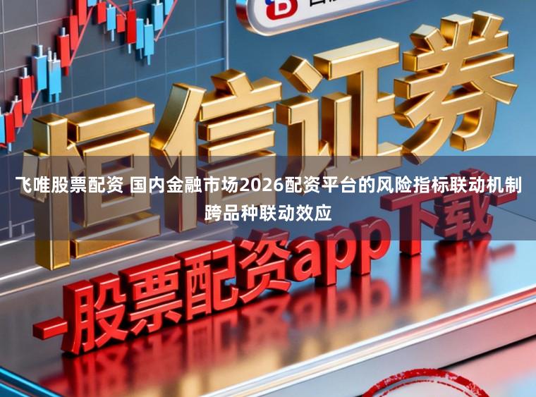 飞唯股票配资 国内金融市场2026配资平台的风险指标联动机制跨品种联动效应