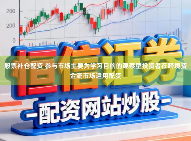 股票补仓配资 参与市场主要为学习目的的观察型投资者在跨境资金流市场运用配资